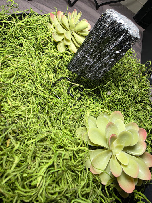 Black Tourmaline (On Stand)