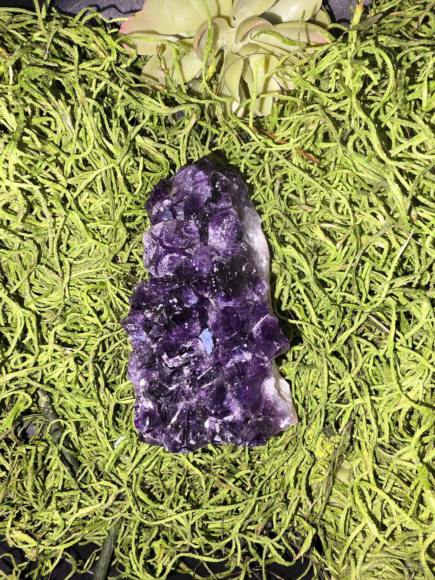 Amethyst Quartz Cluster