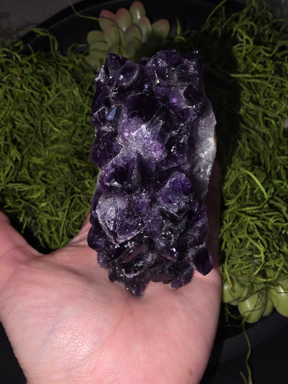 Amethyst Quartz Cluster